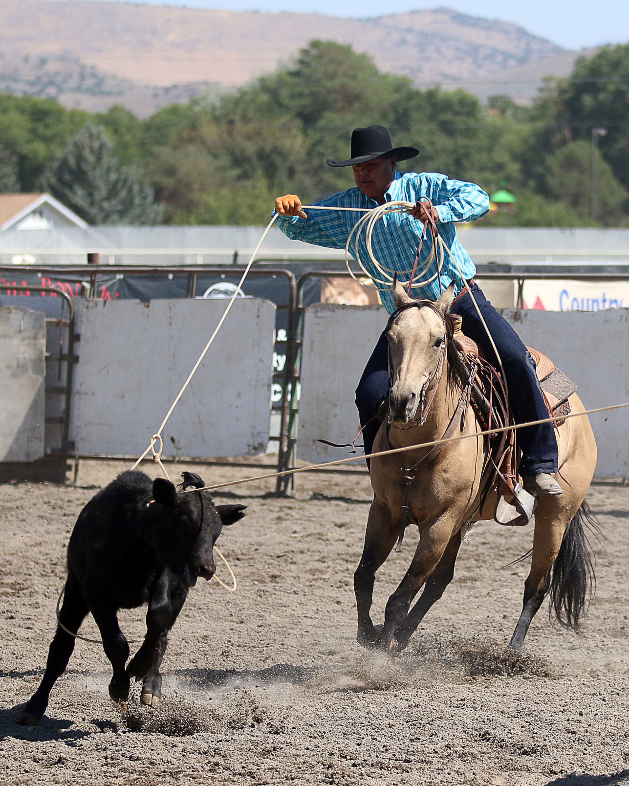 2018 Elko County Fair Open Branding Finals (3).JPG